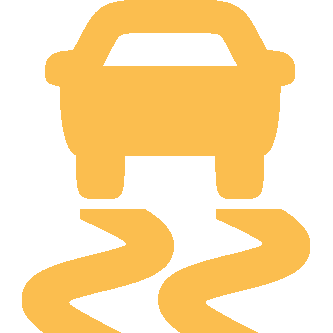 Vehicle Stability Assist (VSA) System Indicator